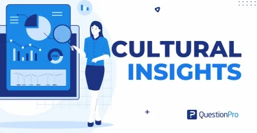 cultural insights articles