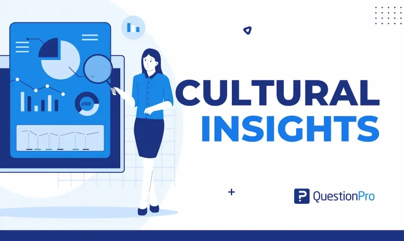 cultural insights articles