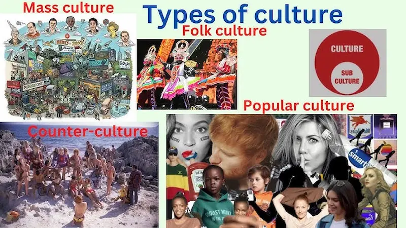 popular types of global culture stories